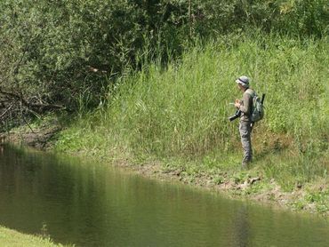 Eens in de twee weken libellen tellen langs de waterkant