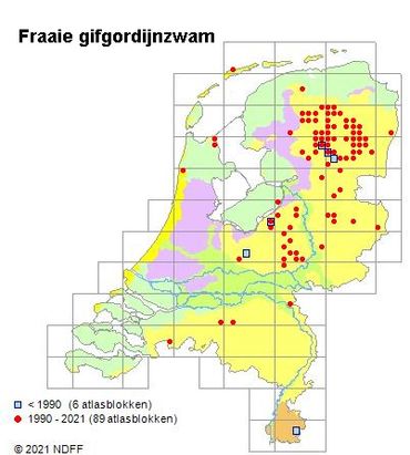 Verspreidingskaartje Fraaie gifgordijnzwam