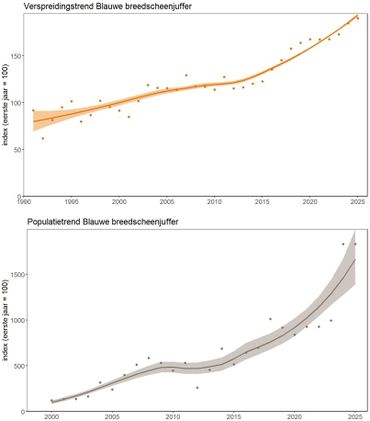 Verspreidingstrend (boven) en populatietrend (onder) van de blauwe breedscheenjuffer. De soort neemt zowel in verspreiding als in aantal individuen toe