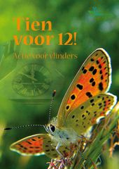 Thema op de Vlinderdag van 2020 is Tien jaar Tien voor 12