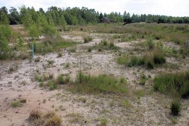 Leefgebied op het terrein van de zinkfabriek Nyrstar