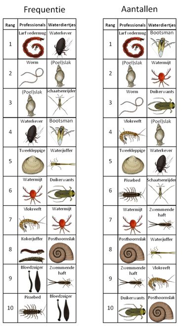 Overzicht van de tien dieren die op de meeste plekken zijn verzameld (links) en die waarvan de meeste individuen zijn verzameld (rechts) door de professionals en Waterdiertjes.nl