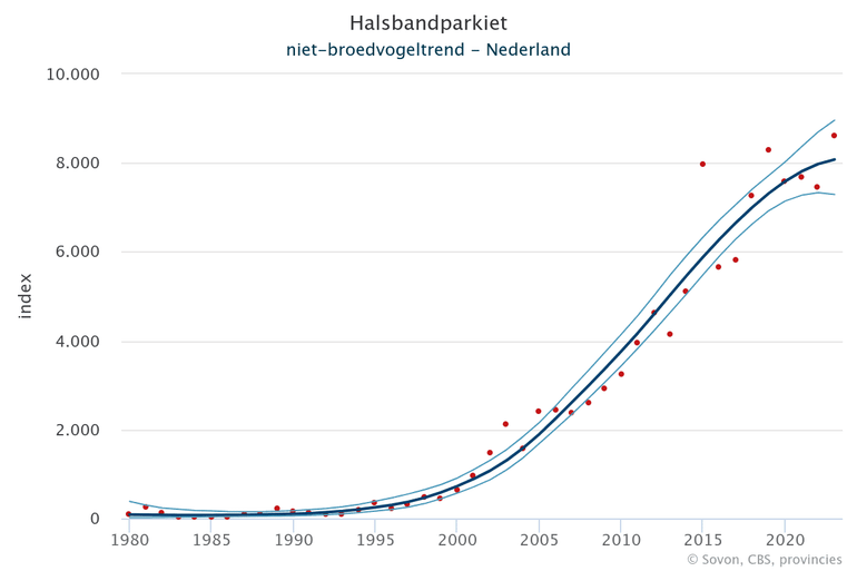 De jaarlijkse index van de winterpopulatie halsbandparkieten in december (rode punten), de trendlijn (donker gekleurde lijn) en het 95 procent betrouwbaarheidsinterval. Deze grafiek is gebaseerd op het Punt Transect Tellingen-project (PTT)