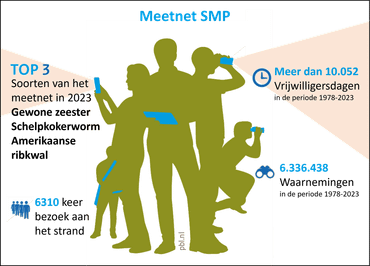 Statistieken van het SMP