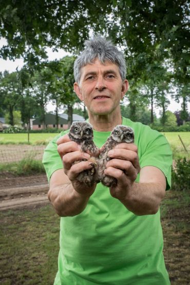 Adrie Staals met twee steenuiltjes