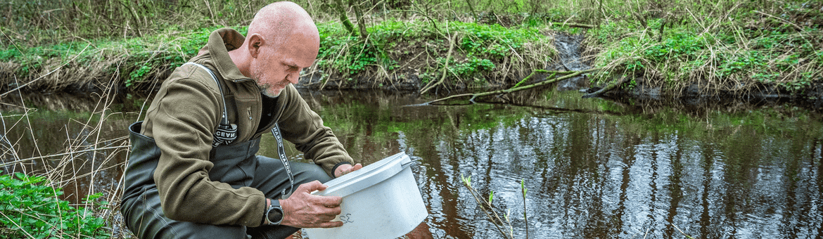 Het uitzetten van water insecten in een beek in Noord-Brabant