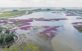 Bij hoogwater stroomt het water van de Nieuwe Merwede de Noordwaard in.
