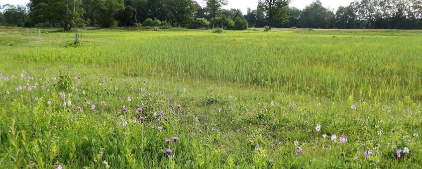 Natura2000-gebied Stelkampsveld