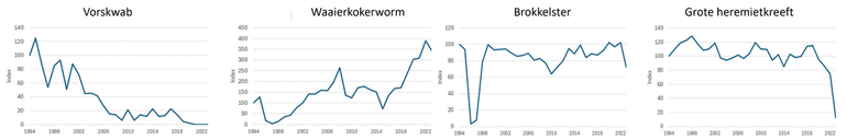 Enkele voorbeelden van trends bij karakteristieke soorten in de Oosterschelde. Van links naar rechts: veel vissen, waaronder de Vorskwab, vertonen een sterke afname mede als gevolg van klimaatveranderingen; andere soorten, zoals de Waaierkokerworm, nemen waarschijnlijk daardoor juist toe; de Brokkelster is gevoelig voor strenge winters en nam in de jaren met Elfstedentochten zeer sterk af; de Grote heremietkreeft is in 2023 zeer sterk afgenomen. Net als voor de sterfte onder zeekreeften in 2023 geldt dat nog naar de oorzaak wordt gezocht