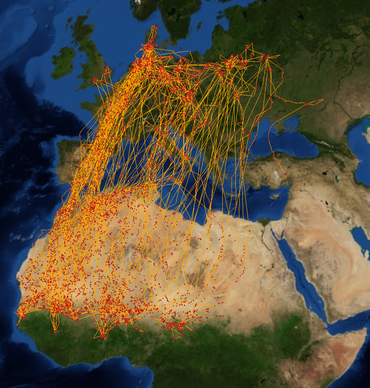 Routes van Grauwe Kiekendieven met satellietzenders van 2005 tot en met 2014