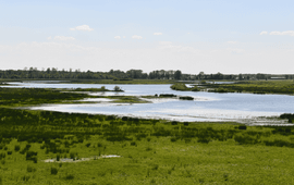 A. Wiersma, Provincie Groningen Natuurgebied Marumerlage