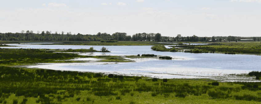 Natuurgebied Marumerlage