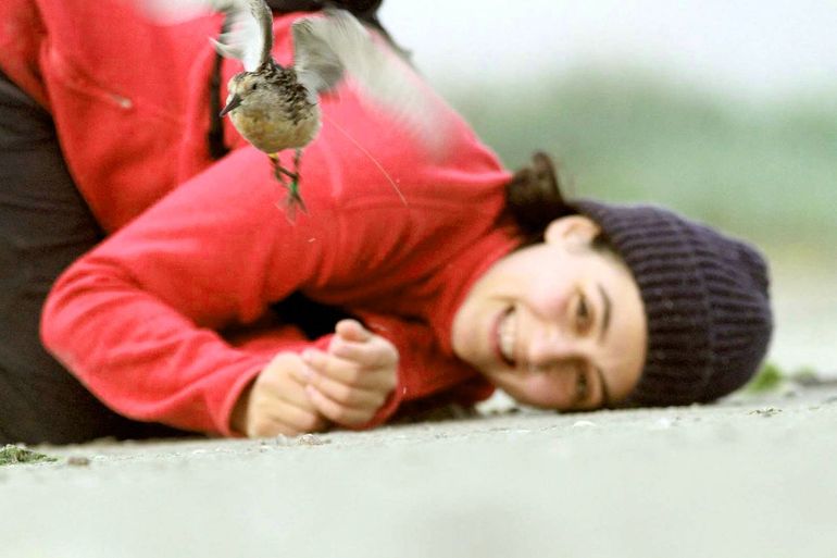 Selin Ersoy, releasing a red knot carrying a small, temporary transmitter on its back