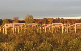 Franciska de Vries Een van onze droogte-experimenten op de Veluwe lead