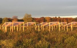 Een van onze droogte-experimenten op de Veluwe lead