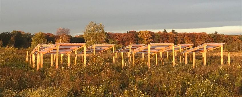 Een van onze droogte-experimenten op de Veluwe lead