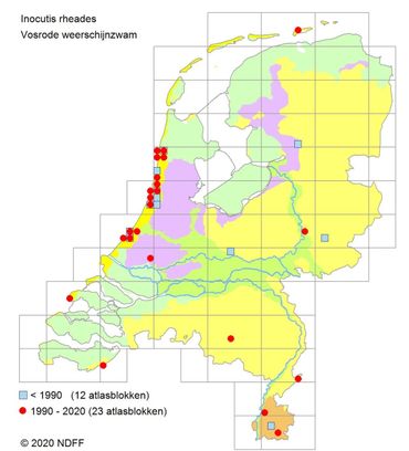 Verspreiding Vosrode weerschijnzwam