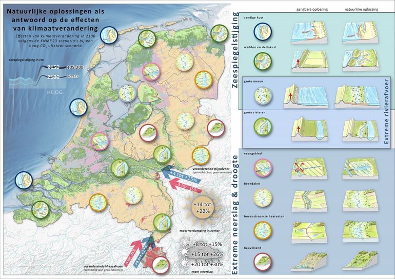 Natuurlijke oplossingen in beeld