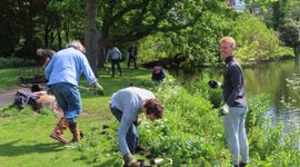 Plantenactie natuurvriendelijke oevers Vondelpark