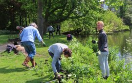 Plantenactie natuurvriendelijke oevers Vondelpark