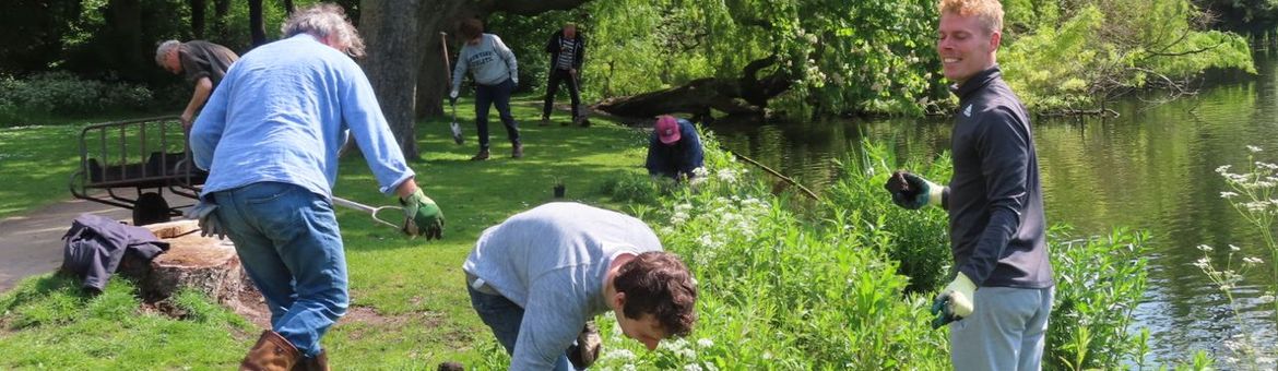 Plantenactie natuurvriendelijke oevers Vondelpark