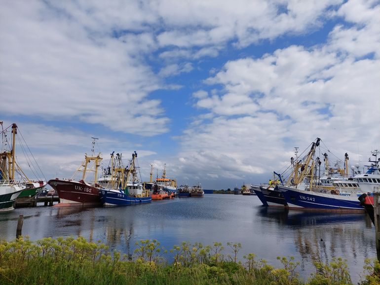 Onderzoekers van Wageningen Marine Research schatten dat Nederland nu nog ruim dertig grote boomkorkotters heeft