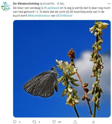 Had u wel eens van de kleur lapis lazuli gehoord?