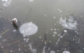 Luchtbellen onder het ijs. Foto: Ralf Verdonschot Alterra
