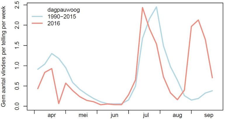 Waarnemingen van de dagpauwoog in de monitoringroutes in 2016 (rood) en het gemiddelde over de periode van 1990-2015 (blauw)