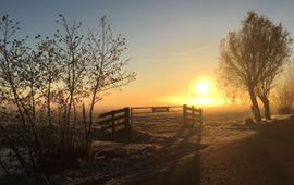 Hoeve Stein combineert natuurbeheer en melkveehouderij