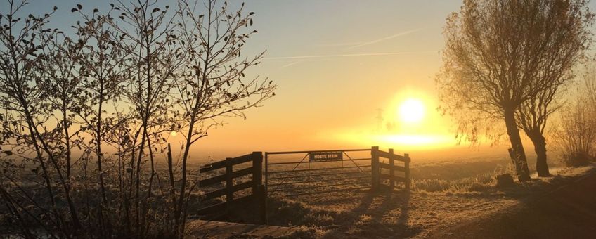 Hoeve Stein combineert natuurbeheer en melkveehouderij