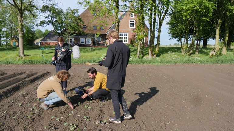 Strokenteelt en regeneratieve landbouw in het Friese Engwierum