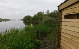 vogelkijkhut Hellegat-Ventjager bij Ooltgensplaat, Haringvliet