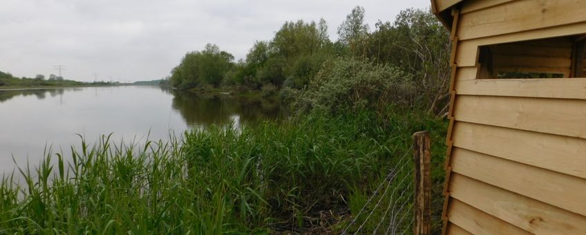 vogelkijkhut Hellegat-Ventjager bij Ooltgensplaat, Haringvliet