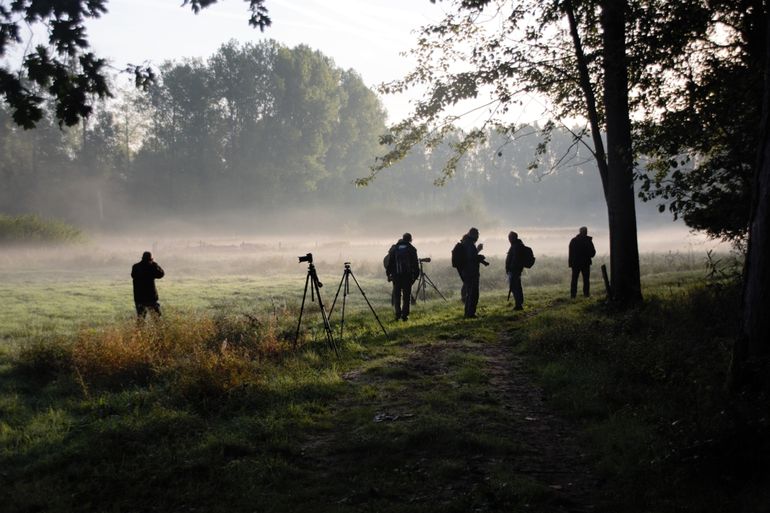 Bronstexcursie in Het Groene Woud