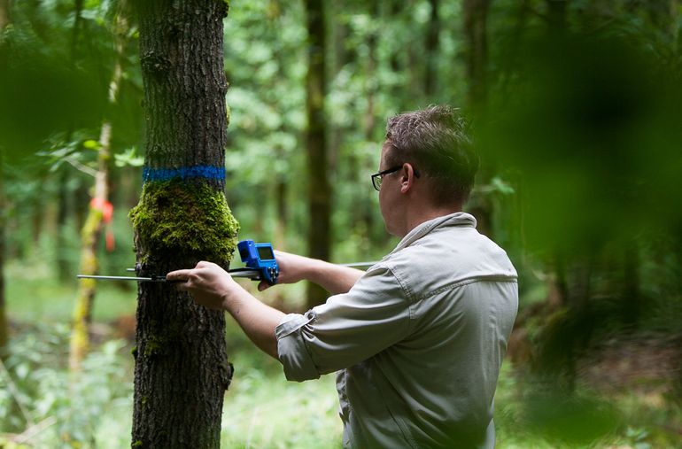 Het meten van een kwaliteitsboom (blauwe ring)