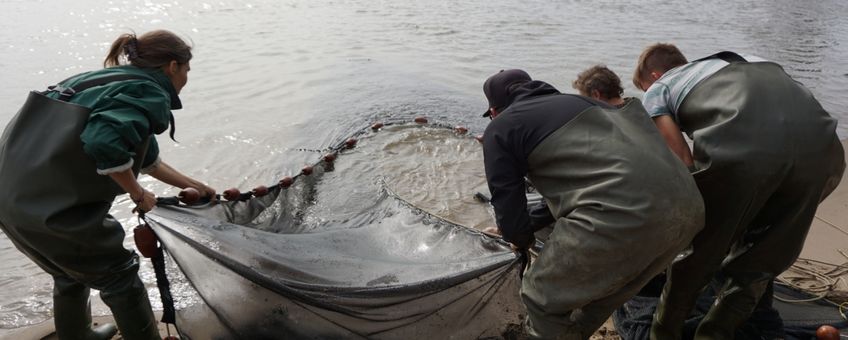 zegenvissen in de Delta