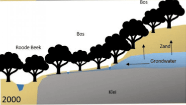 Met sloten werd het grondwater afgevoerd en op de drogere grond werden bomen geplant voor de mijnbouw. Die bomen bleven en het gebied werd steeds droger