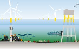 Wageningen Marine Research Natuurinclusieve ontwerp-opties (eenmalig gebruik)