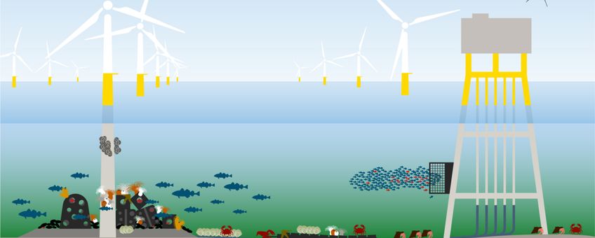 Natuurinclusieve ontwerp-opties (eenmalig gebruik)
