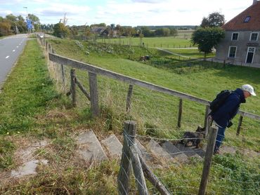 Leefgebied argusvlinder, dijk bij Everdingen