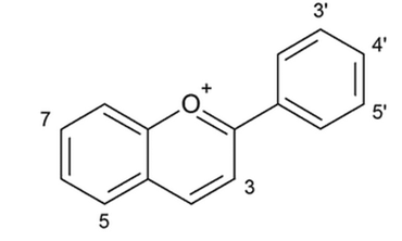 Flavilium-ion