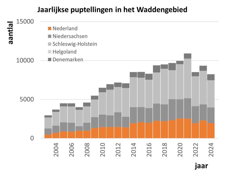 Jaarlijkse puptellingen Waddengebied