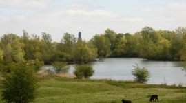 Uiterwaardegebied Meinerswijk met kleigaten. Door het extensieve beheer ontwikkelen de uiterwaarden naar een zeer divers gebied met veel solitaire meidoorn en ooibosontwikkeling.