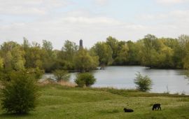 Uiterwaardegebied Meinerswijk met kleigaten. Door het extensieve beheer ontwikkelen de uiterwaarden naar een zeer divers gebied met veel solitaire meidoorn en ooibosontwikkeling.