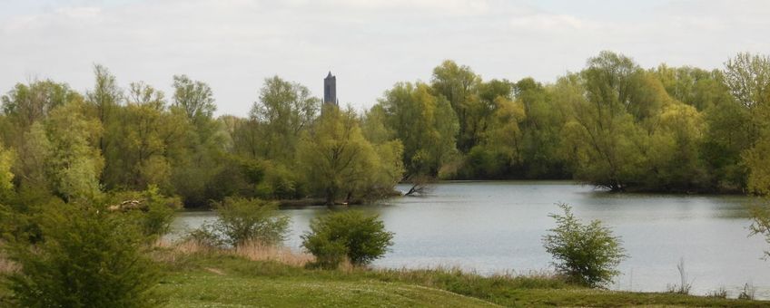 Uiterwaardegebied Meinerswijk met kleigaten. Door het extensieve beheer ontwikkelen de uiterwaarden naar een zeer divers gebied met veel solitaire meidoorn en ooibosontwikkeling.