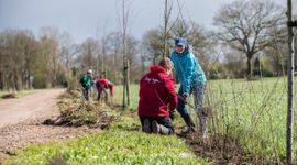 Plantactie van Stichting Hoopheggen