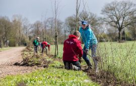 Plantactie van Stichting Hoopheggen