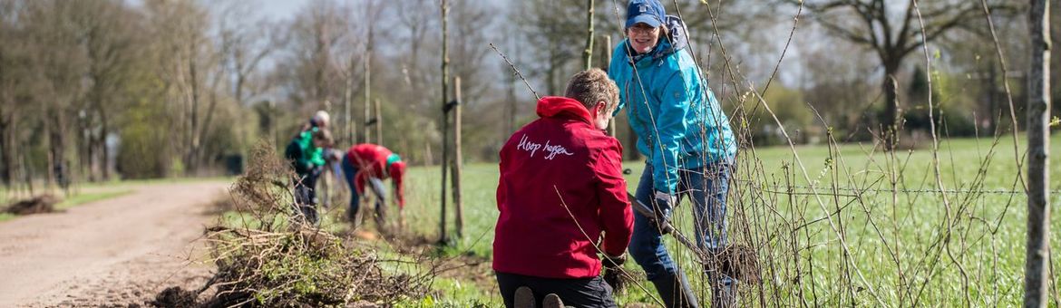 Plantactie van Stichting Hoopheggen