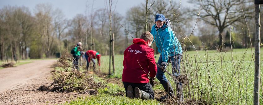 Plantactie van Stichting Hoopheggen